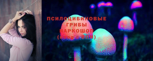 стафф Арсеньев